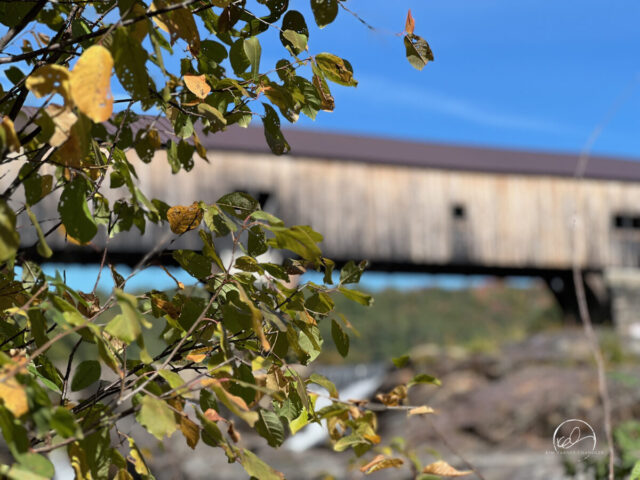 Bath Bath 2025 SEP Bath Covered Bridge