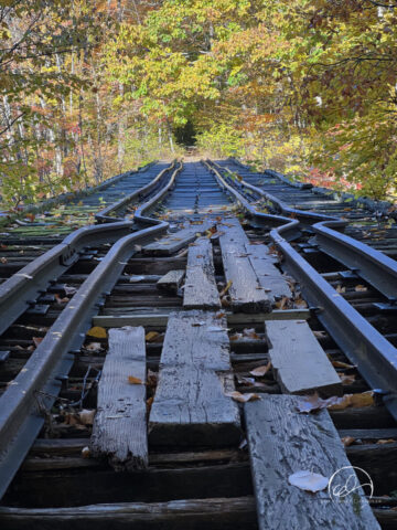 Sulphite Railroad Bridge
