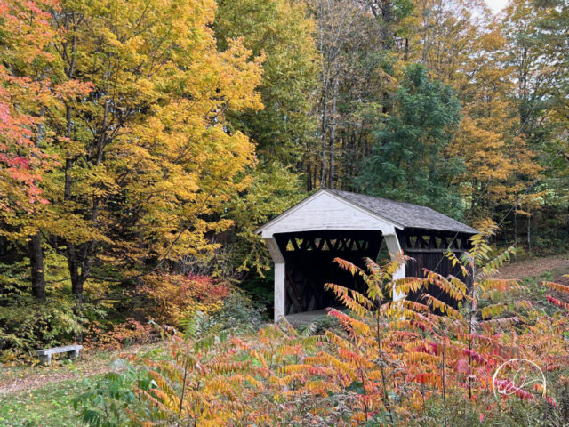 Prentiss Covered Bridge, Langdon