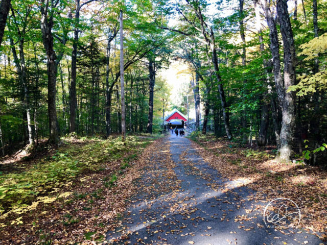 Flume Covered Bridge