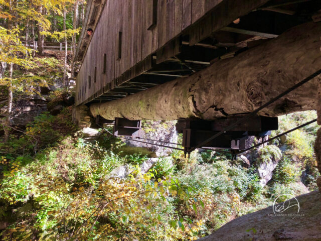 Sentinel Pine Bridge, Flume Gorge