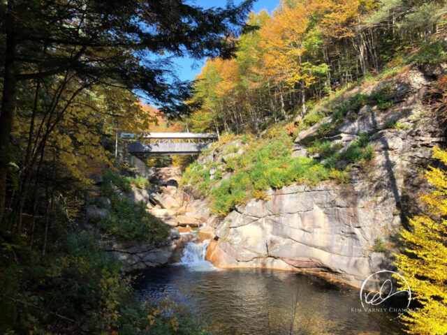 Sentinel Pine Bridge, Flume Gorge