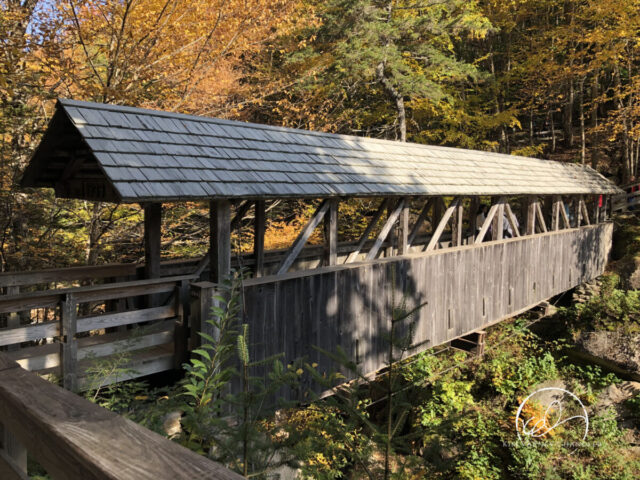 Sentinel Pine Bridge, Flume Gorge
