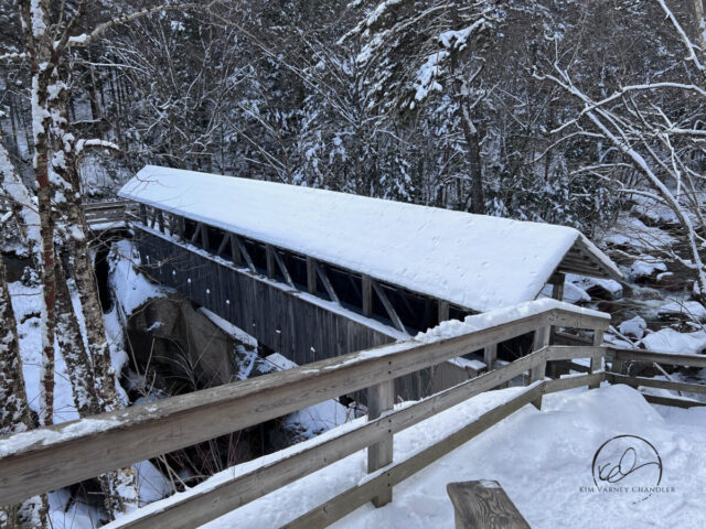 Sentinel Pine Bridge, Flume Gorge