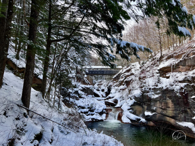 Sentinel Pine Bridge, Flume Gorge