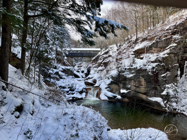 Sentinel Pine Bridge, Flume Gorge