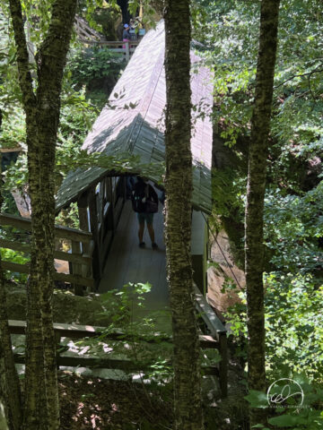 Sentinel Pine Bridge, Flume Gorge