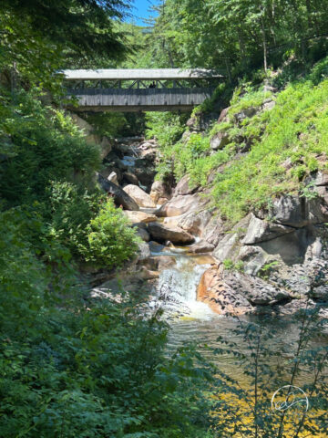 Sentinel Pine Bridge, Flume Gorge