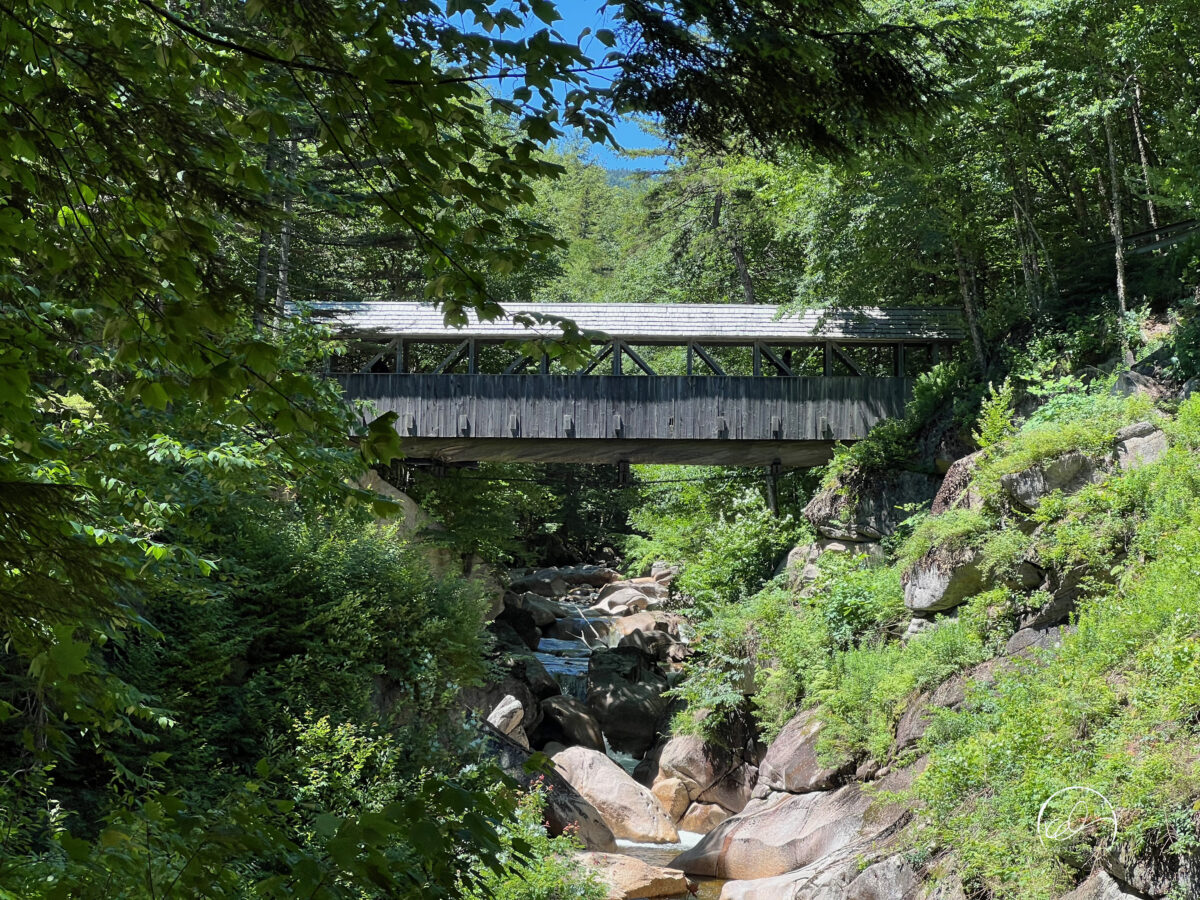 Sentinel Pine Bridge, Flume Gorge