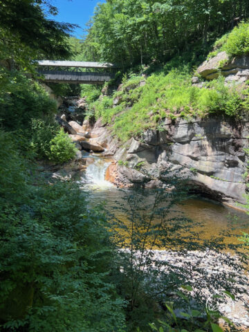 Sentinel Pine Bridge, Flume Gorge
