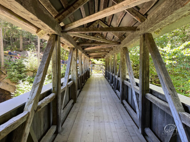 Sentinel Pine Bridge, Flume Gorge