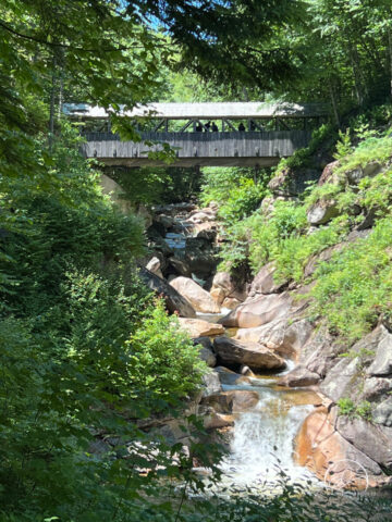 Sentinel Pine Bridge, Flume Gorge