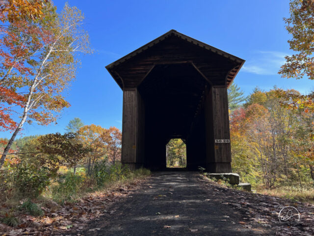 Wright's Bridge, Newport