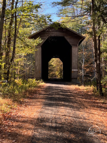 Wright's Bridge, Newport