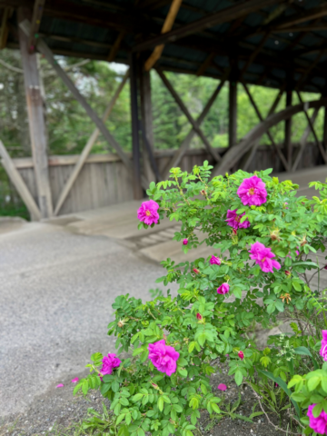 Happy Corner Covered Bridge